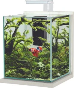 ZOLUX Jalaya XL Ceruse Blanc 18,7 L Kit Nano-aquarium équipé Avec éclairage LEDs