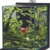 ZOLUX Jalaya XL Gris Anthracite 18,7 L Kit Nano-aquarium équipé Avec éclairage LEDs -Poissons Aquariums Magasin zolux jalaya xl gris anthracite 18 7 l kit nano aquarium equipe avec eclairage leds min