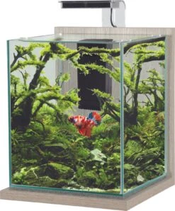 ZOLUX Jalaya XL Zebrano Gris 18,7 L Kit Nano-aquarium équipé Avec éclairage LEDs
