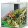 ZOLUX Jalaya XXL Ceruse Blanc 31,5 L Kit Nano-aquarium équipé Avec éclairage LEDs 2 ZOLUX Jalaya XXL Ceruse Blanc 31,5 L Kit Nano-aquarium équipé Avec éclairage LEDs -Poissons Aquariums Magasin zolux jalaya xxl ceruse blanc 31 5 l kit nano aquarium equipe avec eclairage leds min
