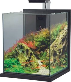ZOLUX Jalaya XXL Gris Anthracite 31,5 L Kit Nano-aquarium équipé Avec éclairage LEDs